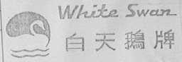 白天鹅