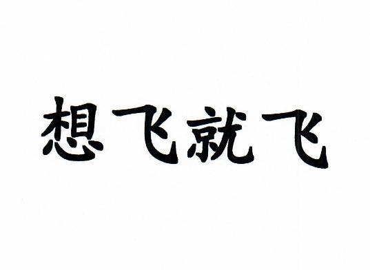想飞就飞