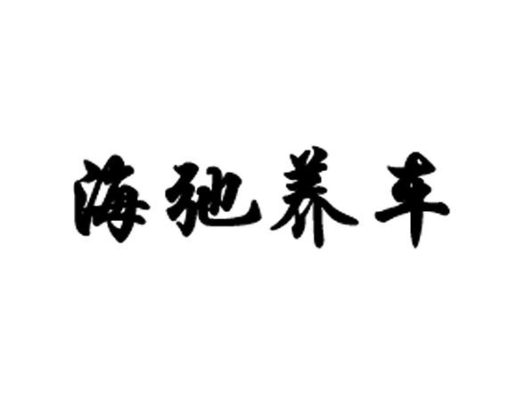 海弛养车
