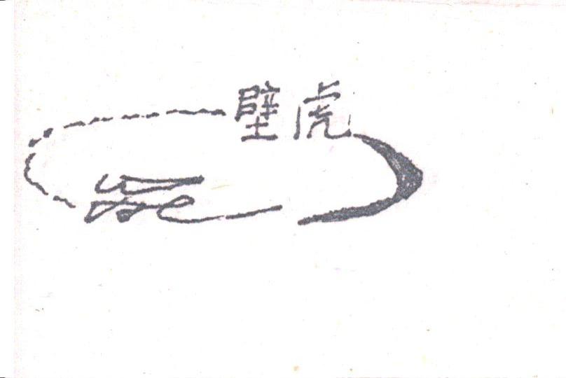 壁虎