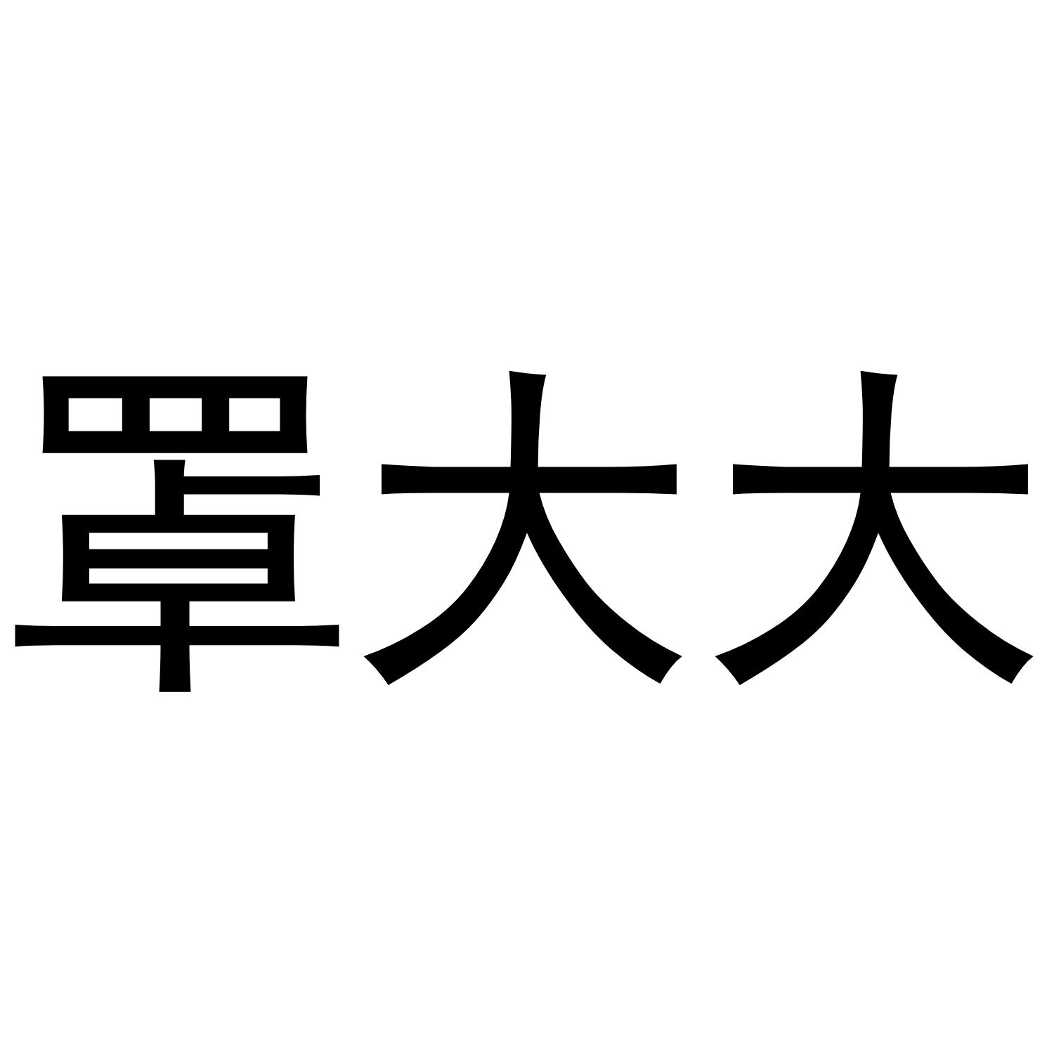 罩大大