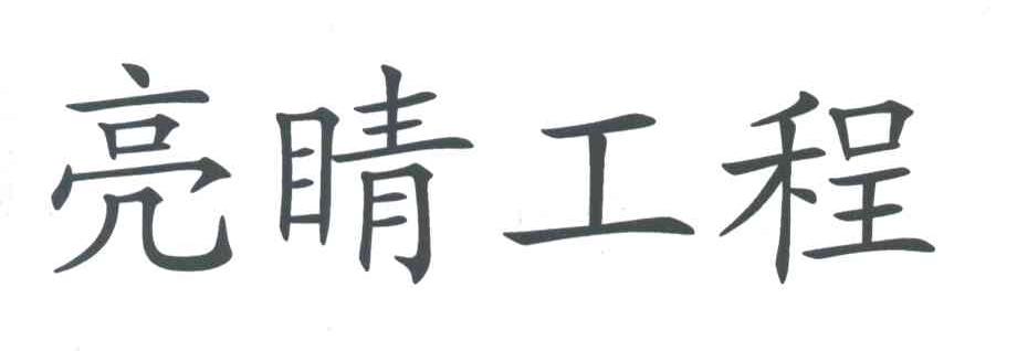 亮睛工程
