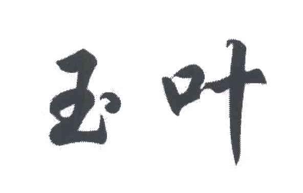 玉叶