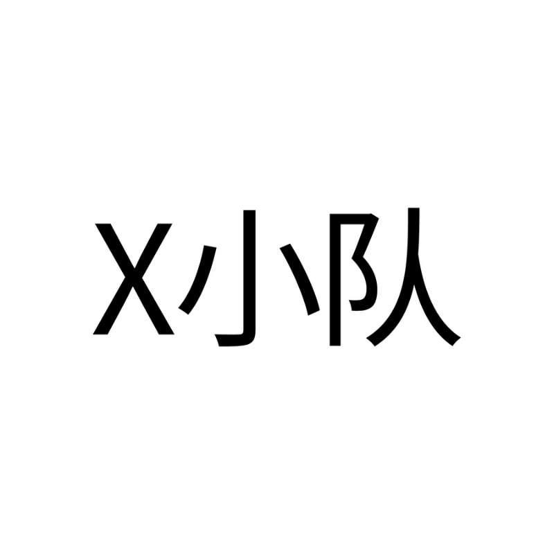 X 小队