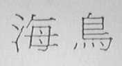 海鸟