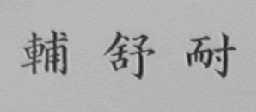 辅舒耐
