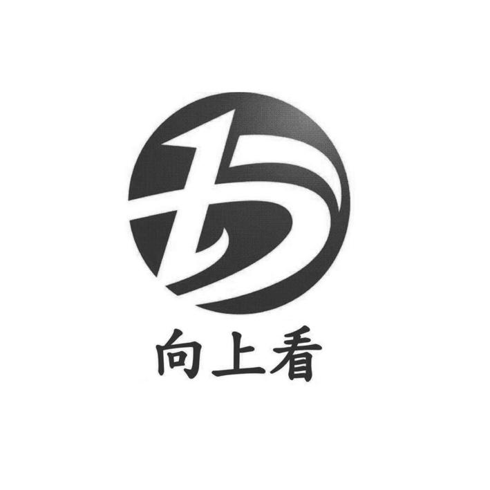 向上看