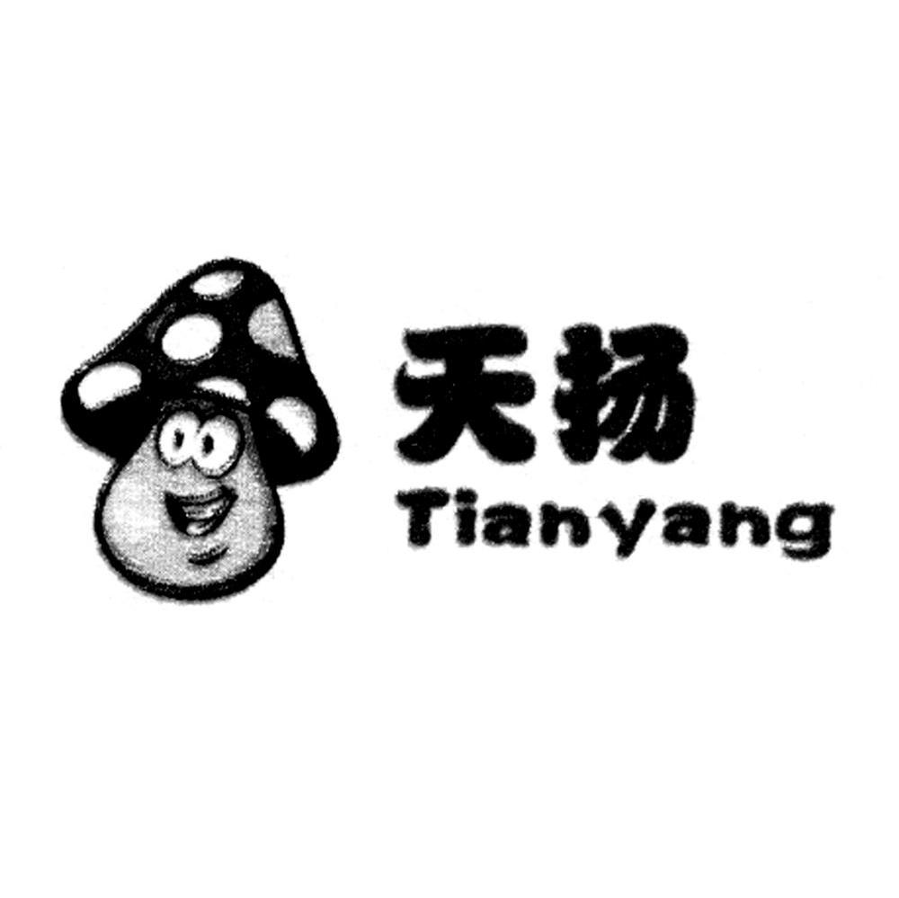 天扬