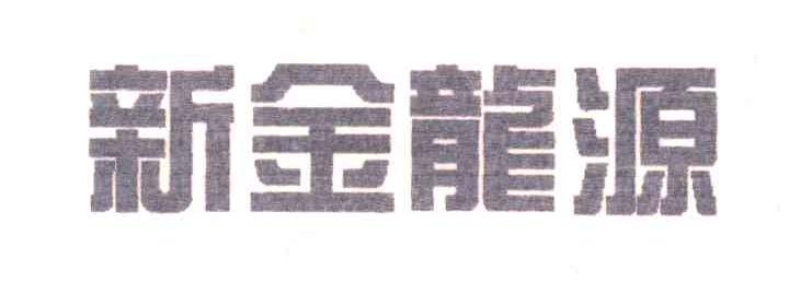新金龙源