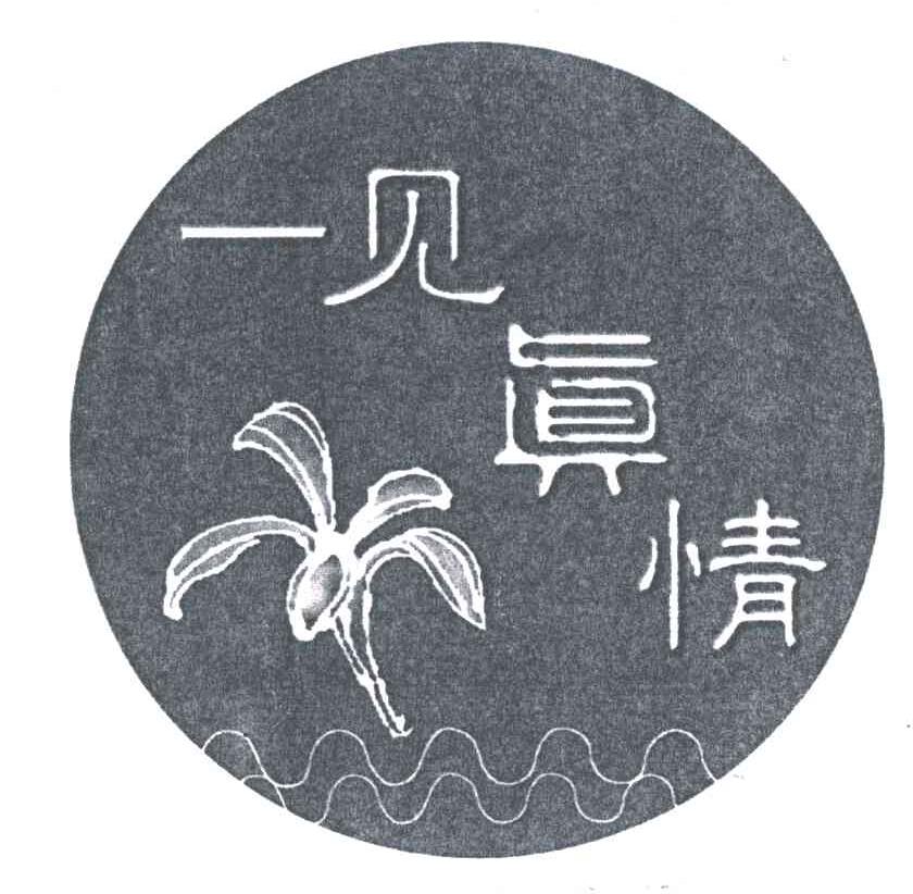 一见真情