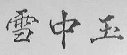 雪中玉