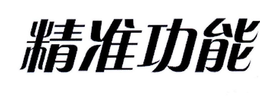 精准功能