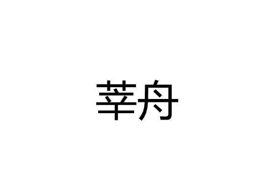 莘舟