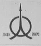 神箭