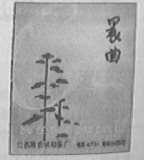 晨曲