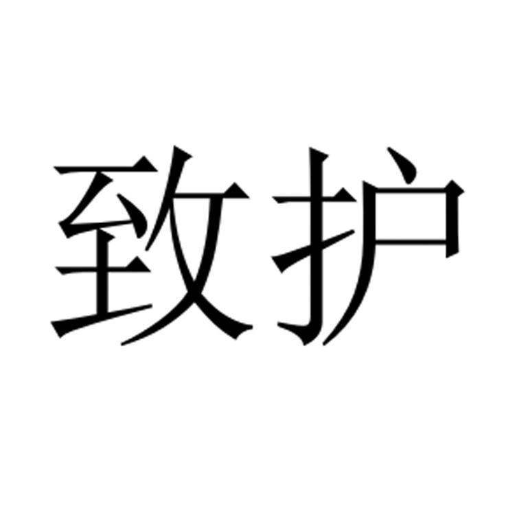 致护