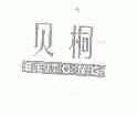 贝桐