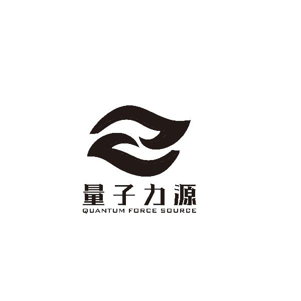 量子力源 QUANTUM FORCE SOURCE