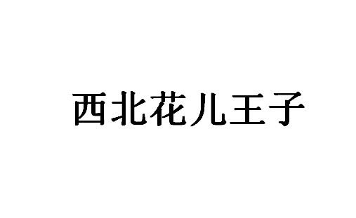 西北花儿王子