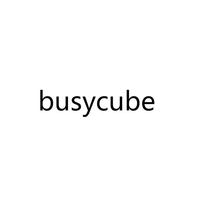BUSYCUBE