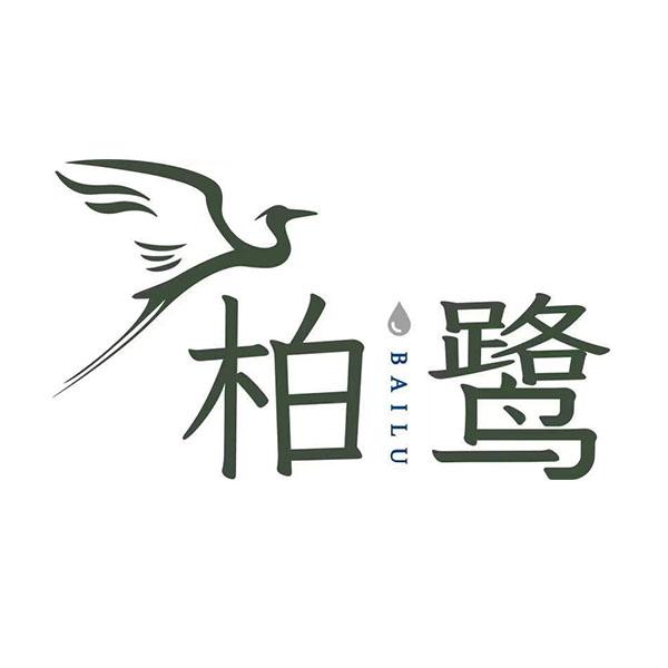 柏鹭