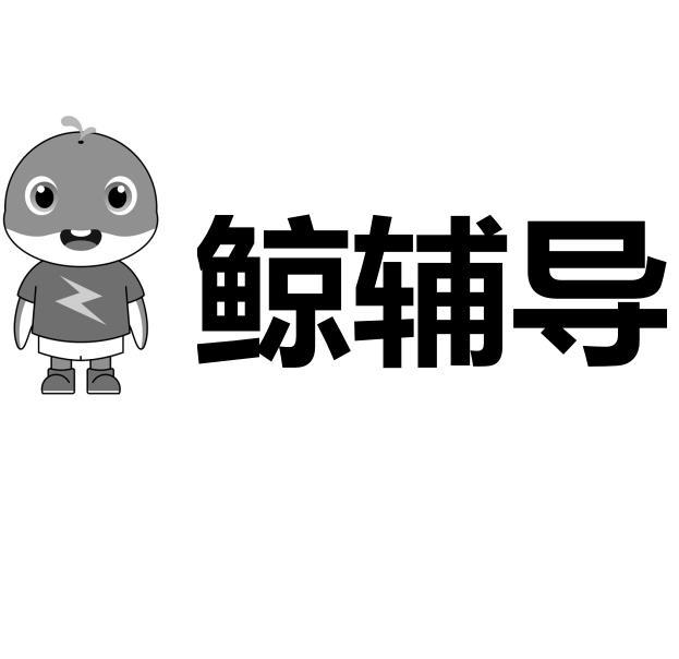 鲸辅导