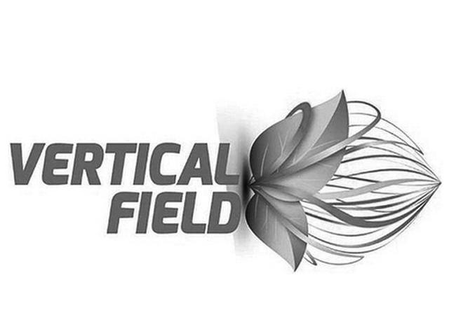VERTICAL FIELD