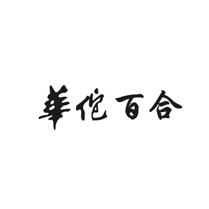 华佗百合