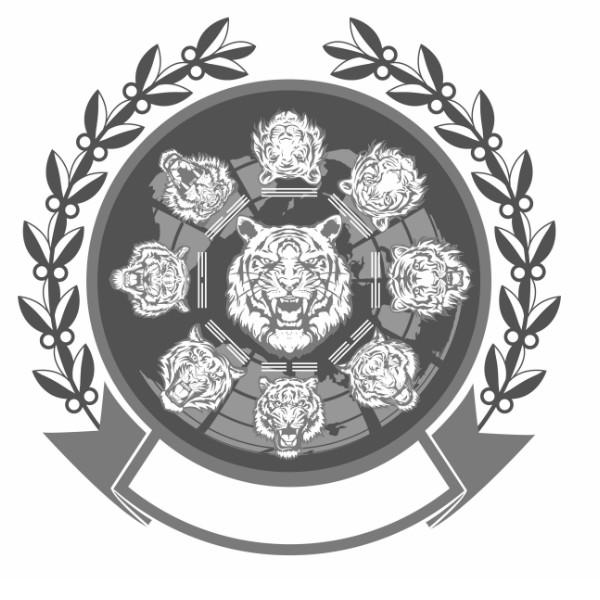图形
