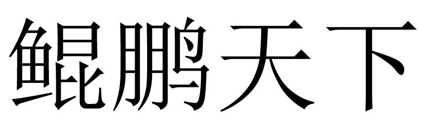 鲲鹏天下