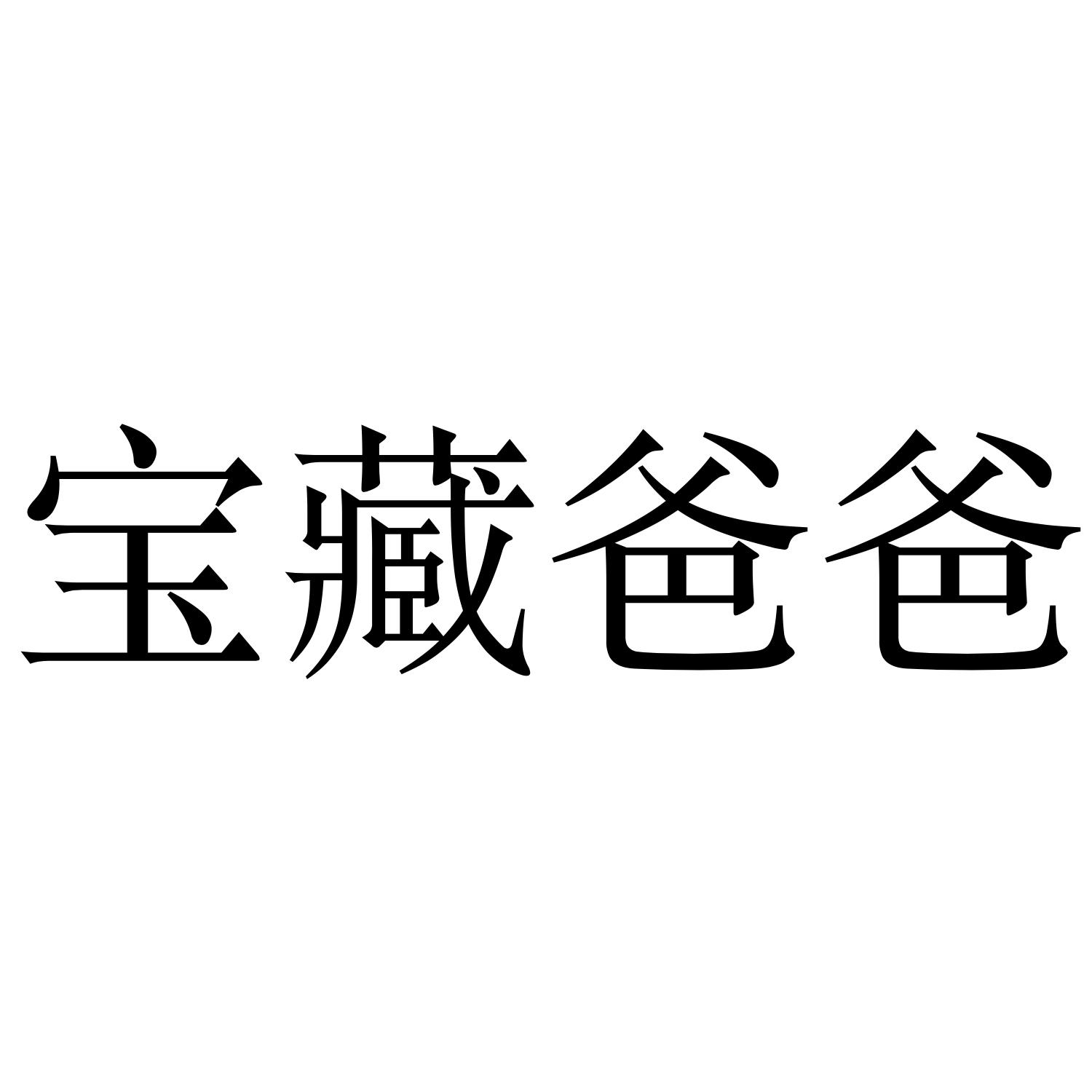 宝藏爸爸