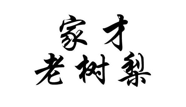家才老树梨
