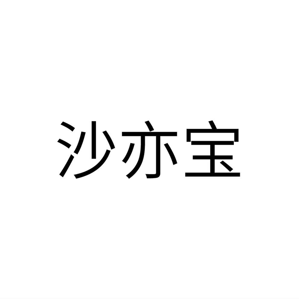 沙亦宝