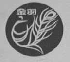 金羽