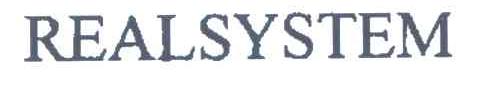 REALSYSTEM