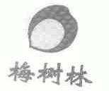 梅树林