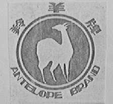 羚羊