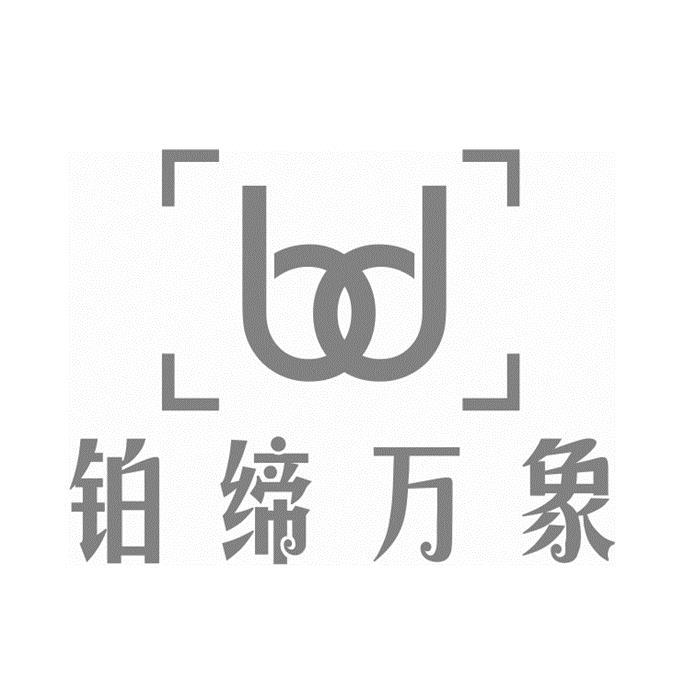 铂缔万象