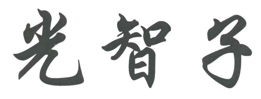 光智子