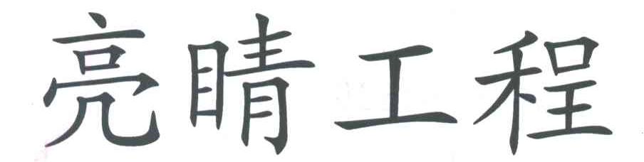 亮睛工程