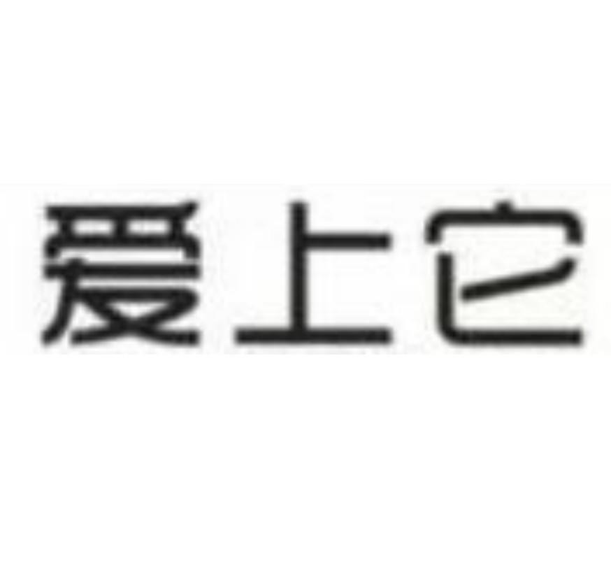爱上它