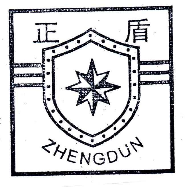 正盾