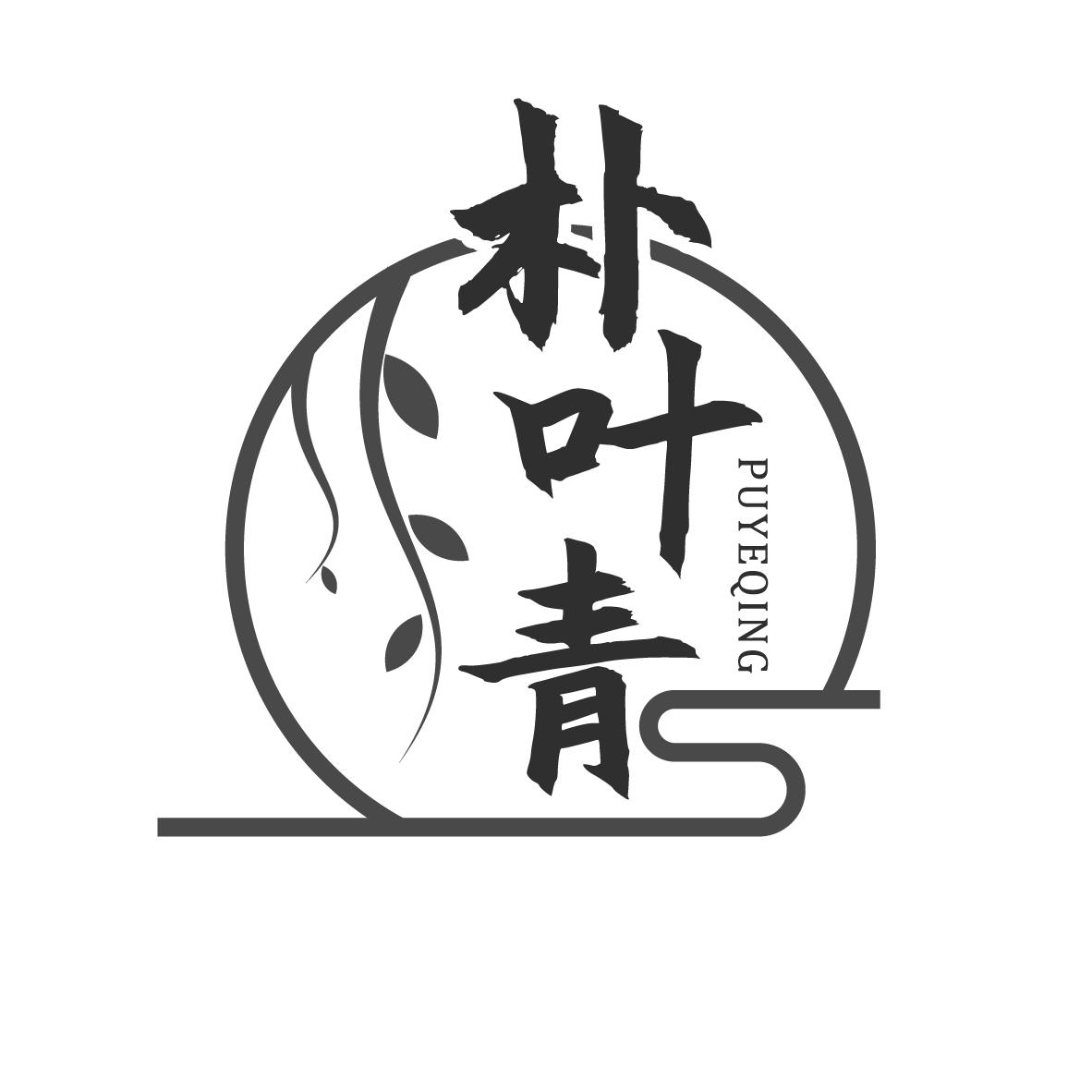 朴叶青