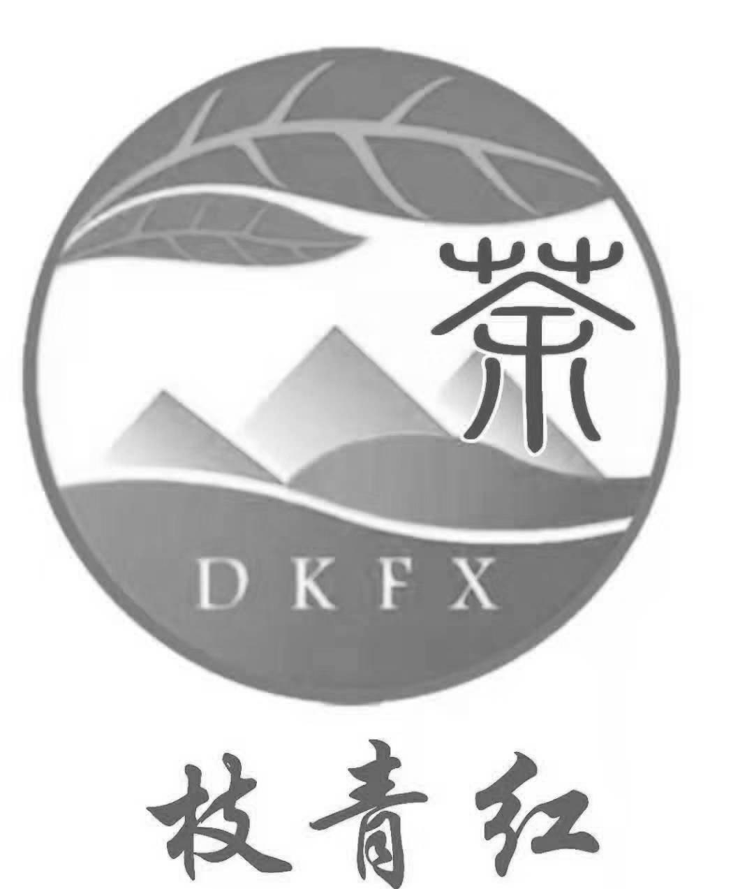 枝青红 茶 DKFX