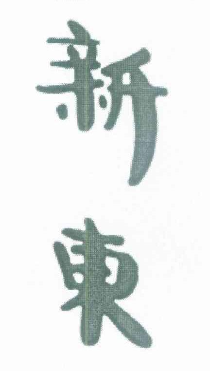 新东