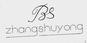 ZHANG SHU YONG