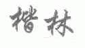 楷林