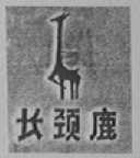 长颈鹿