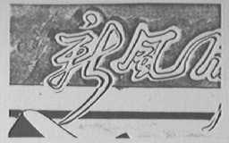 新风