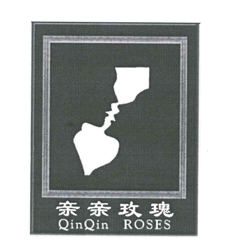 亲亲玫瑰;QINQIN ROSES